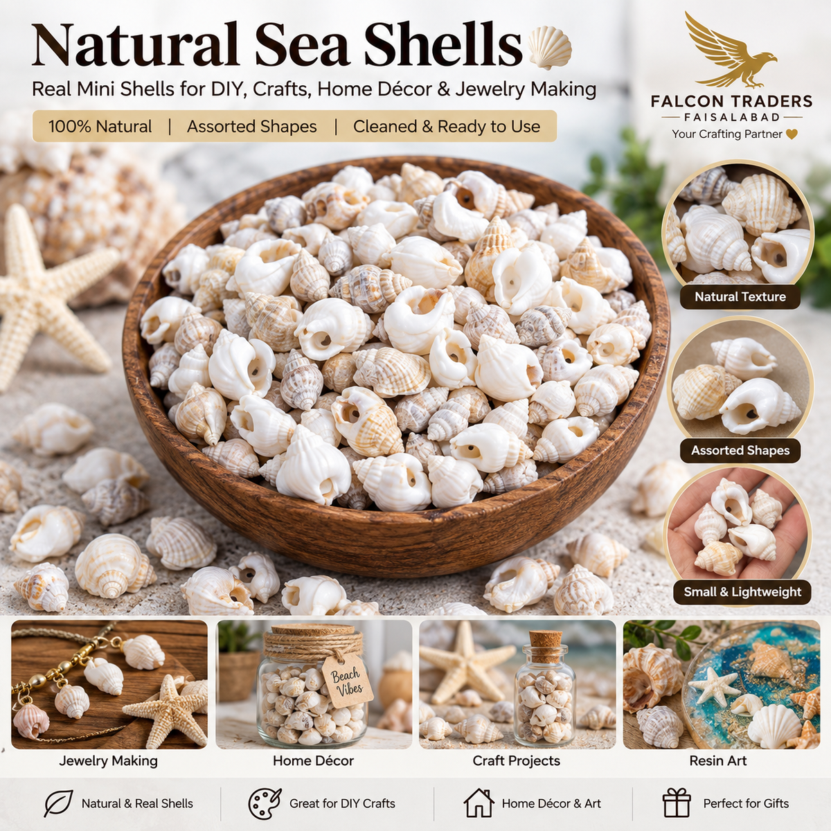 A promotional graphic for Falcon Traders Natural Sea Shells, showing a wooden bowl filled with assorted real mini seashells. The layout includes product text, circular detail callouts, and example use images for jewelry making, home decor, craft projects, and resin art.