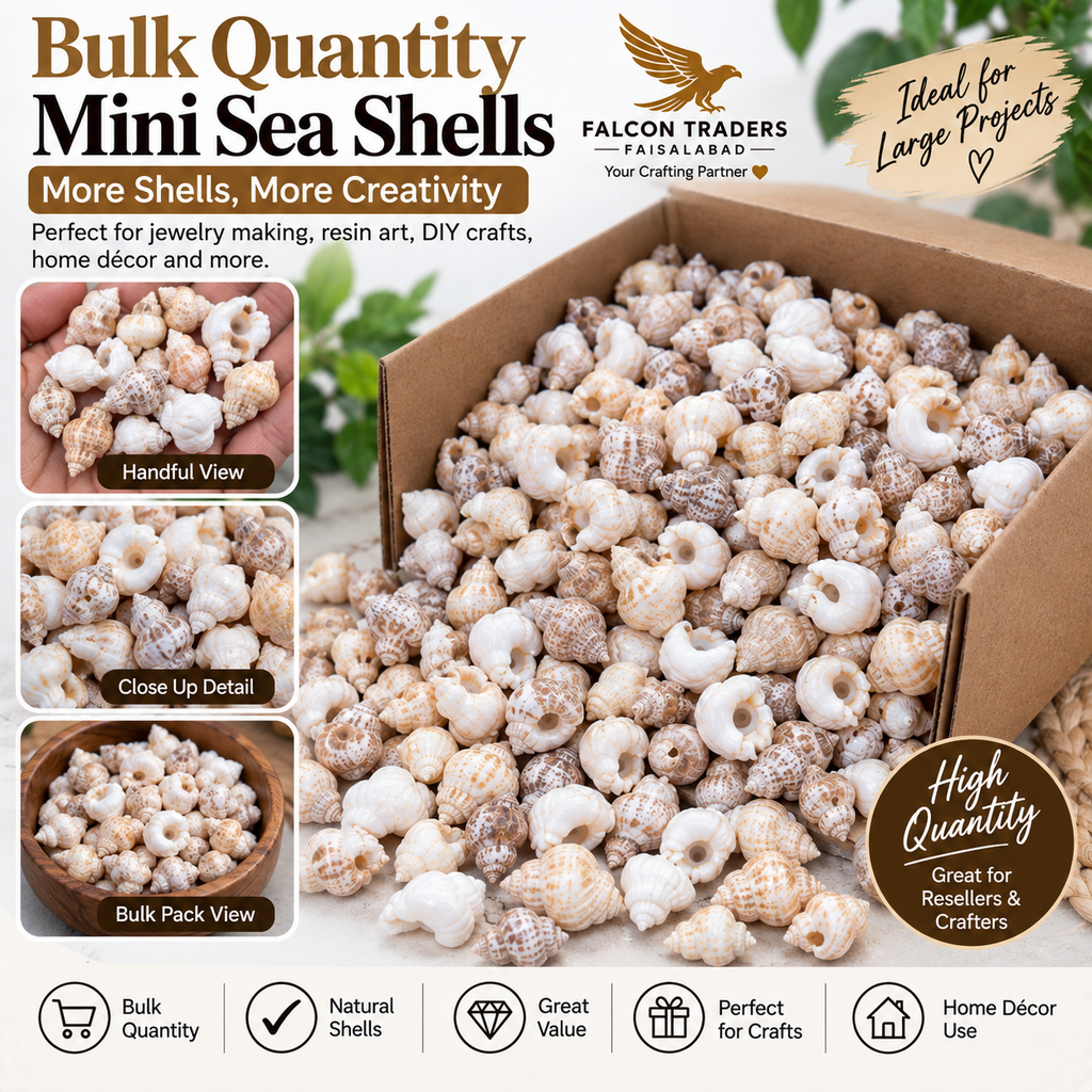 Bulk quantity of mini sea shells for crafts and jewelry making, shown in a brown cardboard box with inset detail photos and promotional text. The shells are predominantly off-white, beige, and light brown with natural spiral patterns.