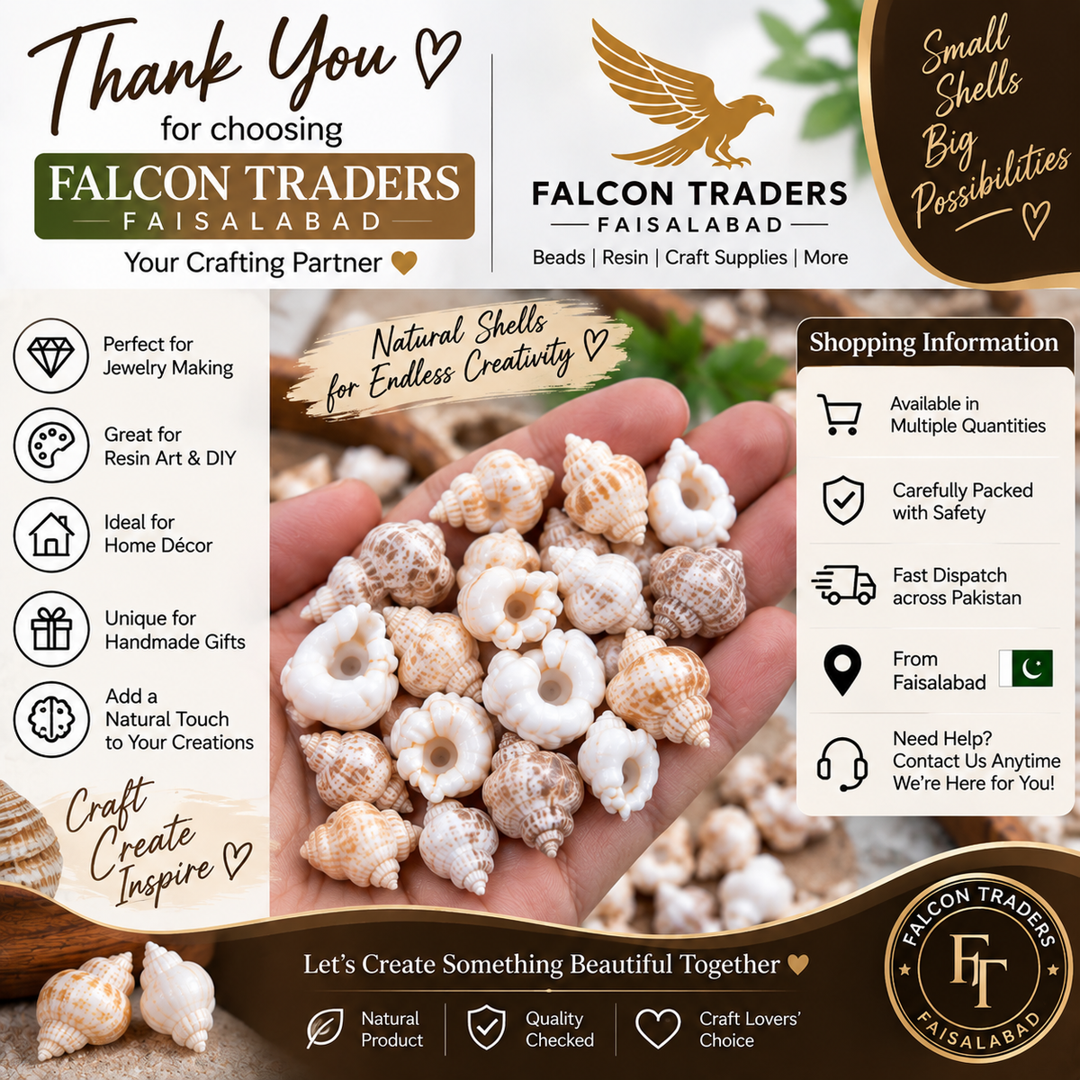 A promotional graphic for Falcon Traders Faisalabad showcasing small, spiral-shaped natural seashells. A hand holds a pile of these beige and white seashells, with a wooden tray of more shells at the bottom.