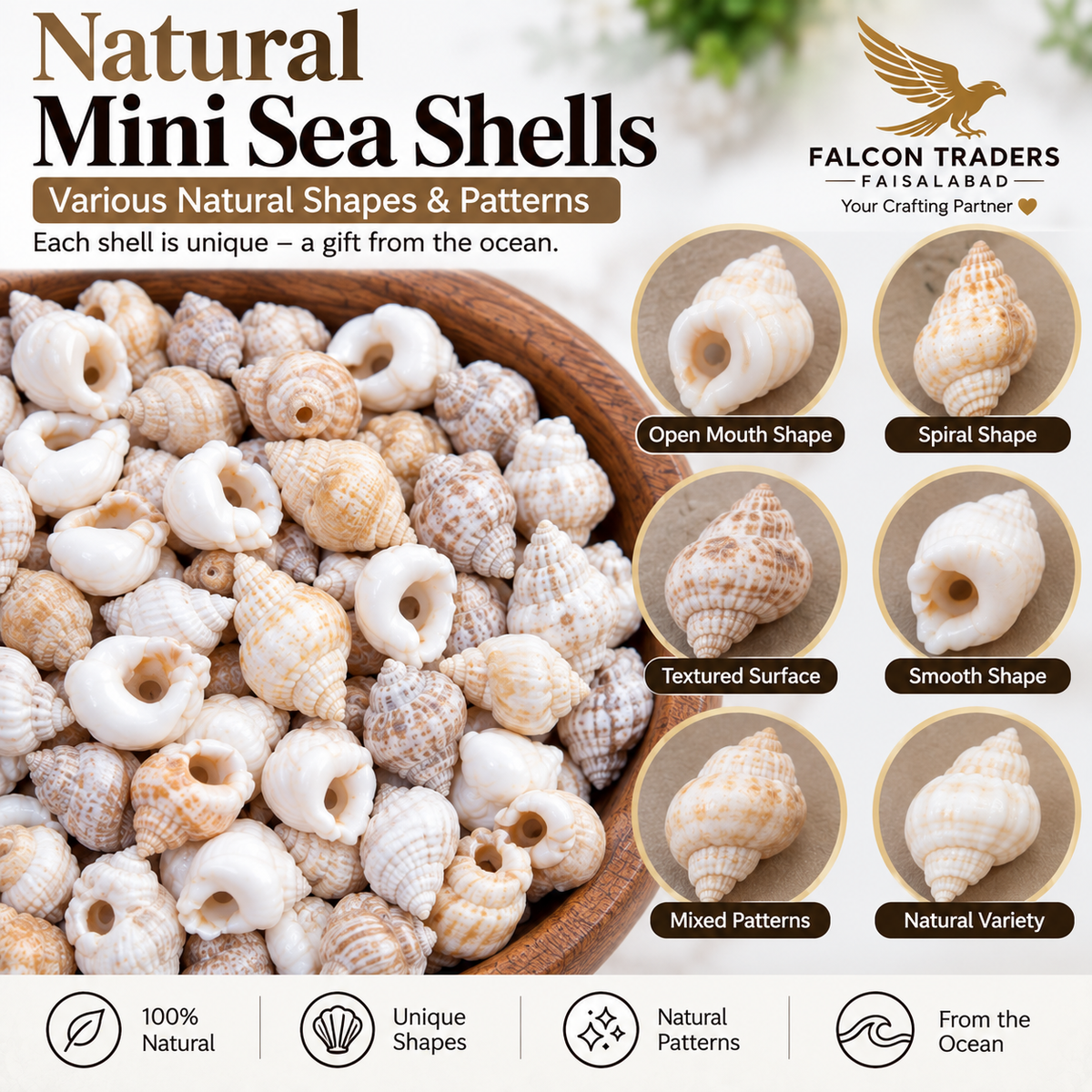 Natural mini sea shells in a wooden bowl, with a large title reading 'Natural Mini Sea Shells' and smaller labels showing shell shapes and patterns. The brand 'Falcon Traders' is visible in the top right, along with icons at the bottom describing the product as 100% natural, unique shapes, natural patterns, and from the ocean.